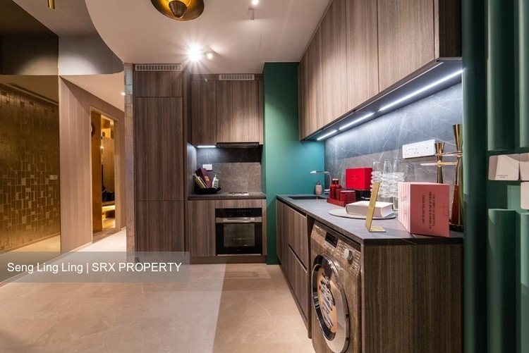 Klimt Cairnhill (D9), Apartment #493857721